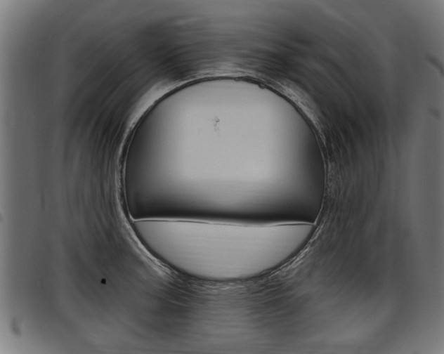 X0000098011187200803280723