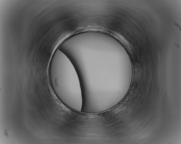 X0000098011190200803280723