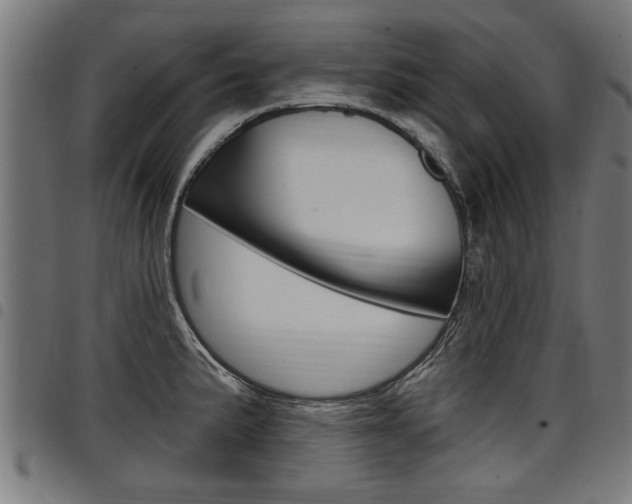 X0000098011191200803280723