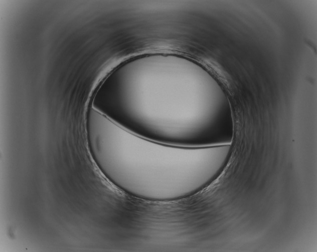 X0000098011192200803280723