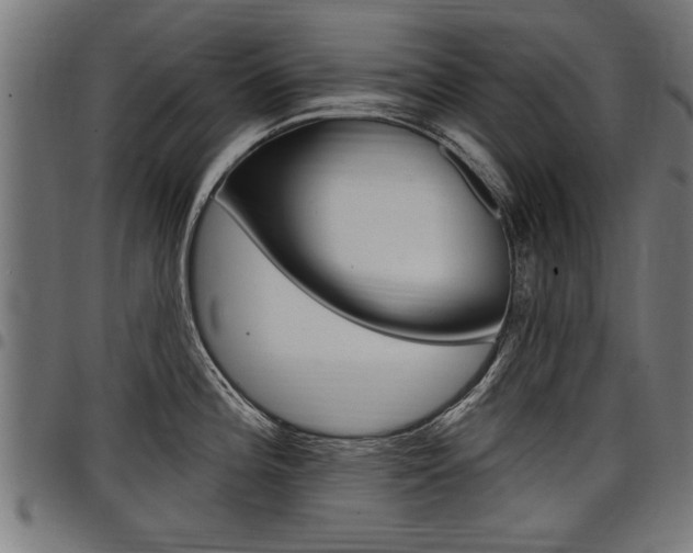 X0000098011196200803280723