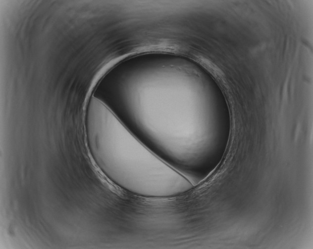 X0000098011200200803280723