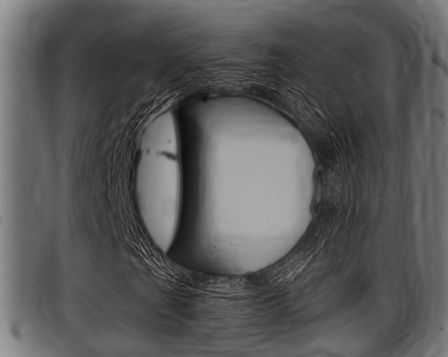 X0000098011201200803280723