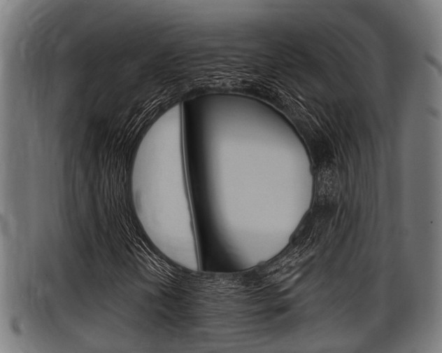 X0000098011202200803280723