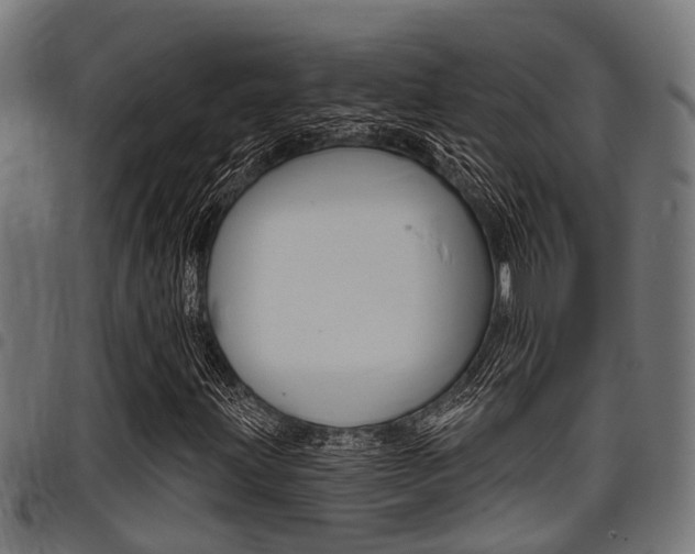 X0000098011203200803280723