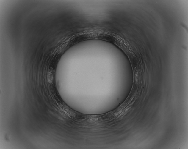 X0000098011204200803280723