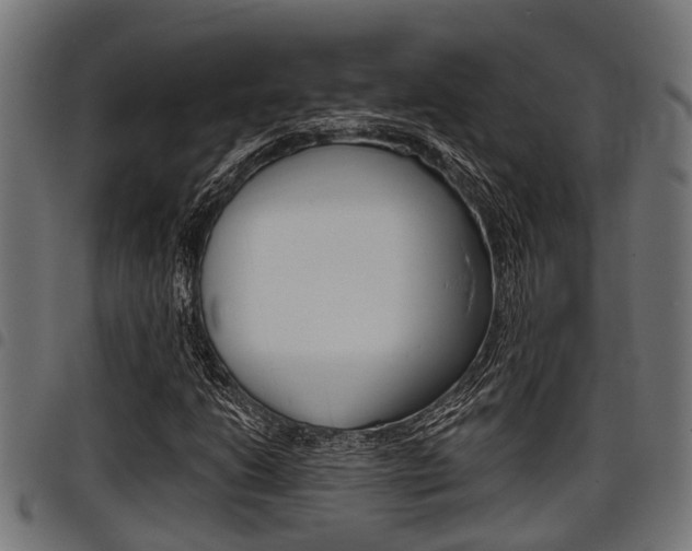 X0000098011206200803280723