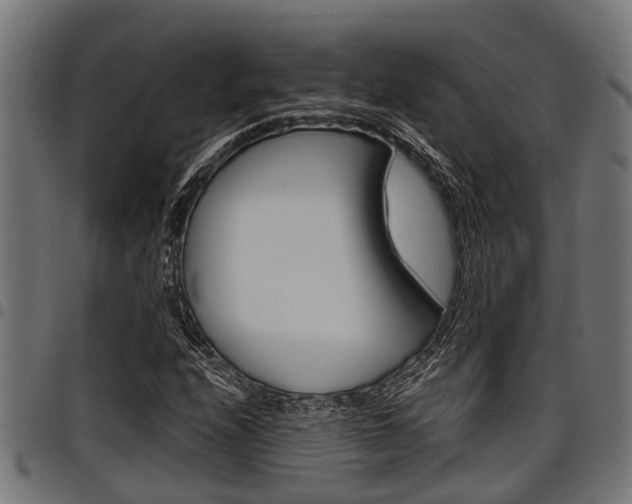 X0000098011208200803280723