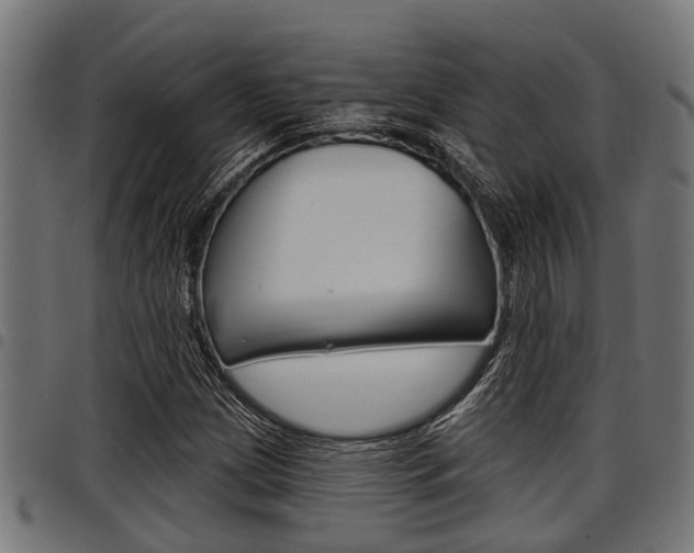 X0000098011209200803280723