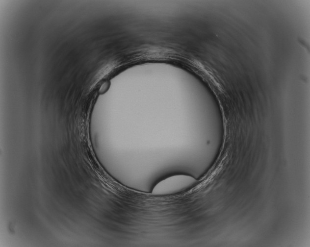 X0000098011211200803280723