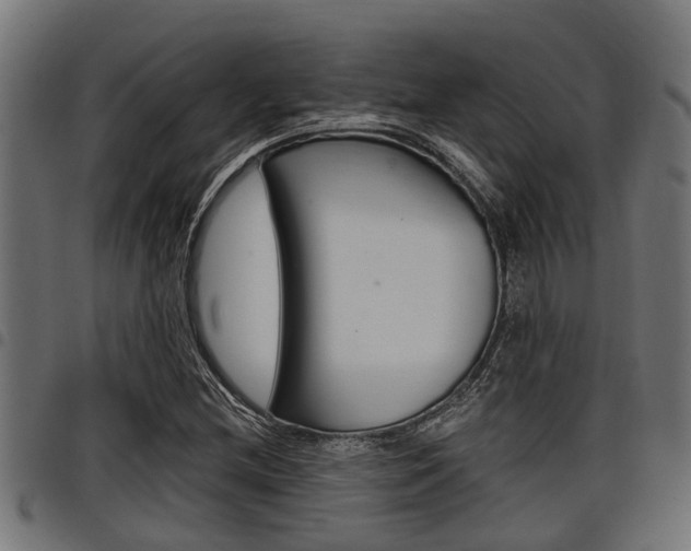 X0000098011212200803280723