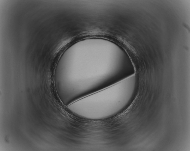 X0000098011213200803280723