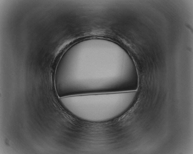 X0000098011214200803280723