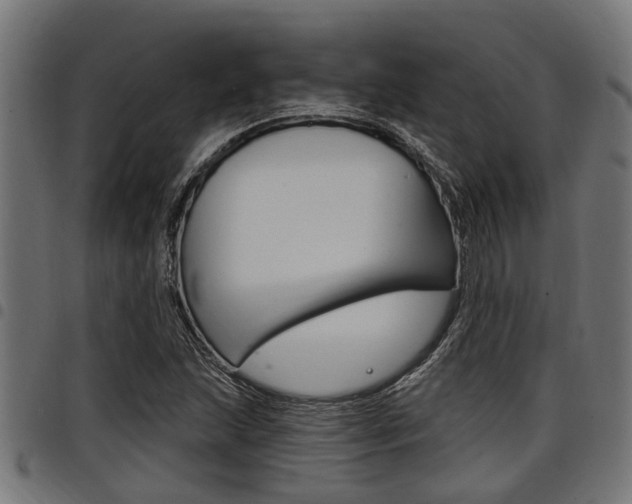 X0000098011215200803280723