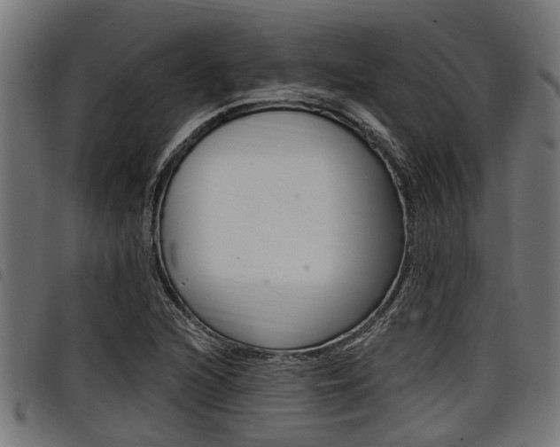 X0000098011216200803280723