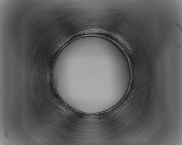 X0000098011217200803280723