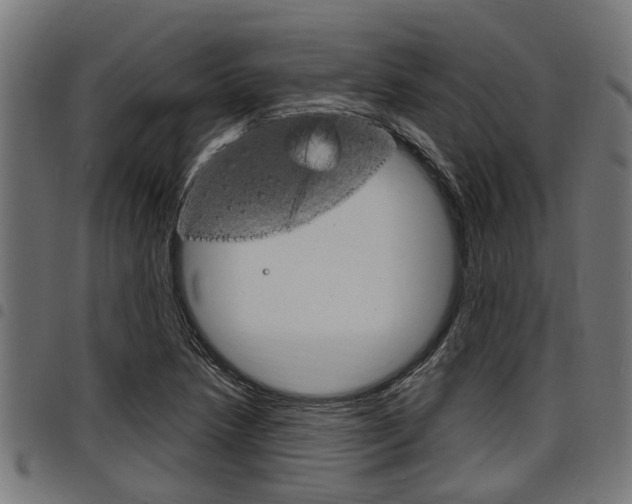 X0000098011218200803280723