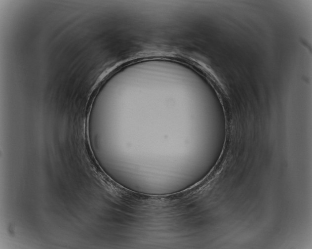 X0000098011220200803280723