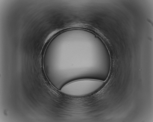 X0000098011222200803280723
