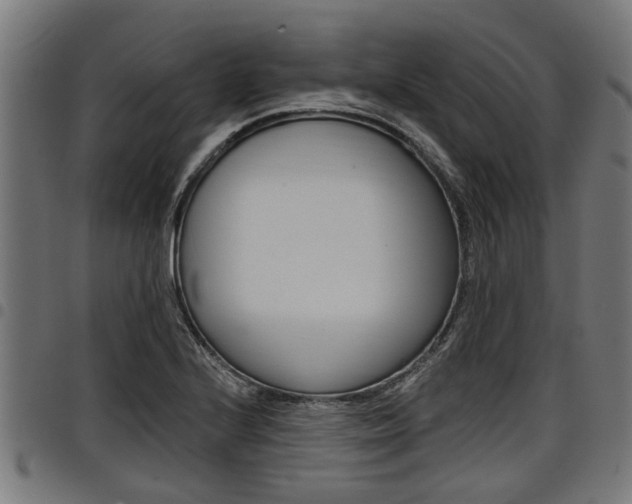 X0000098011224200803280723