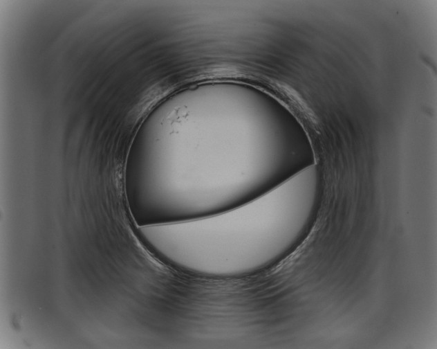 X0000098011225200803280723