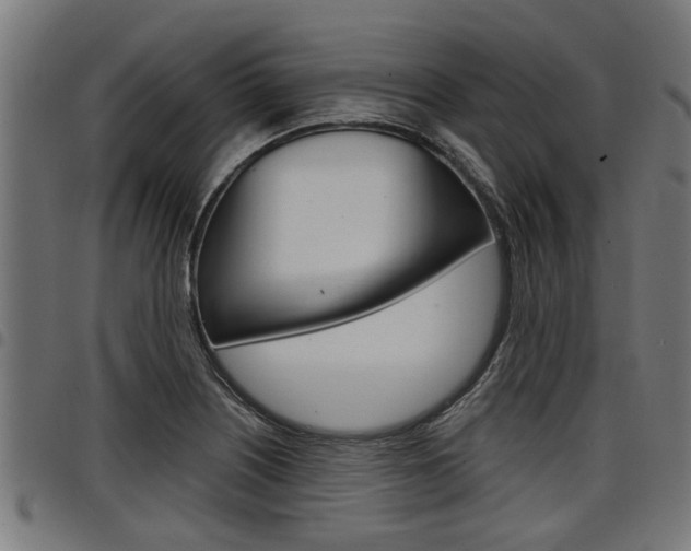 X0000098011226200803280723