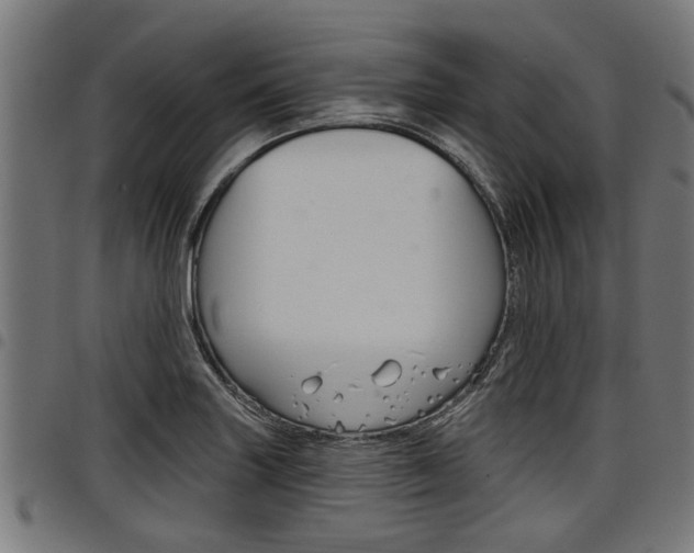 X0000098011227200803280723