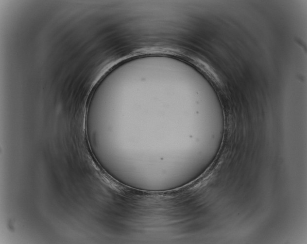 X0000098011228200803280723