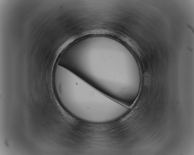 X0000098011229200803280723