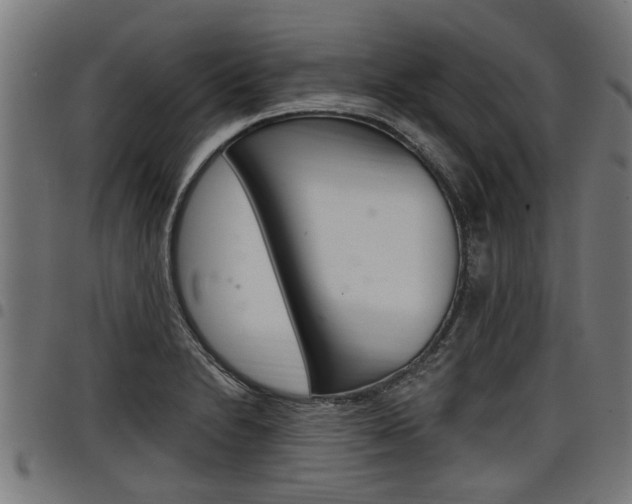 X0000098011230200803280723