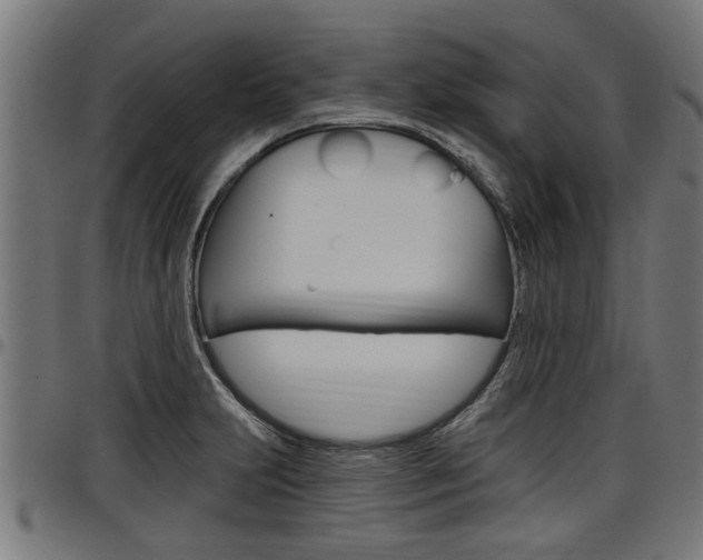 X0000098011231200803280723