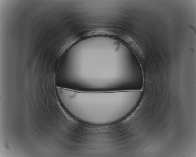 X0000098011233200803280723