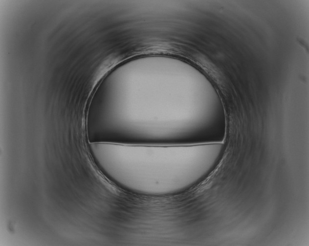 X0000098011234200803280723