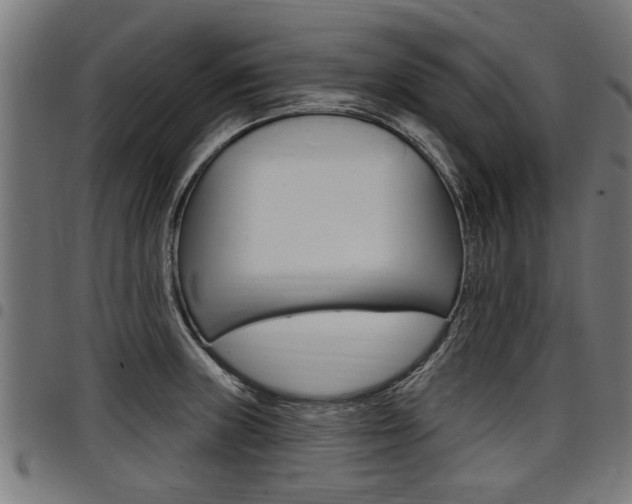X0000098011235200803280723