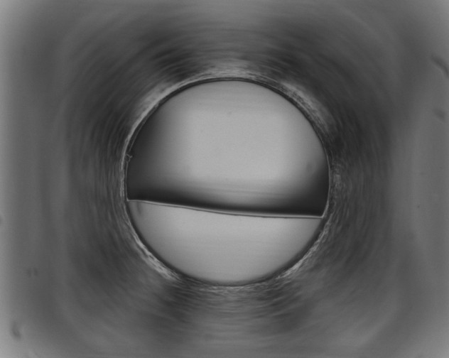 X0000098011236200803280723