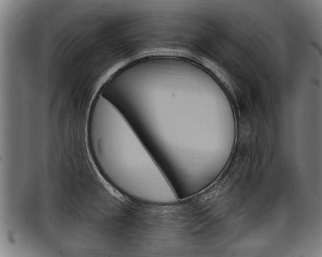 X0000098011237200803280723