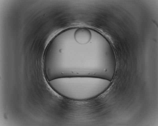 X0000098011239200803280723