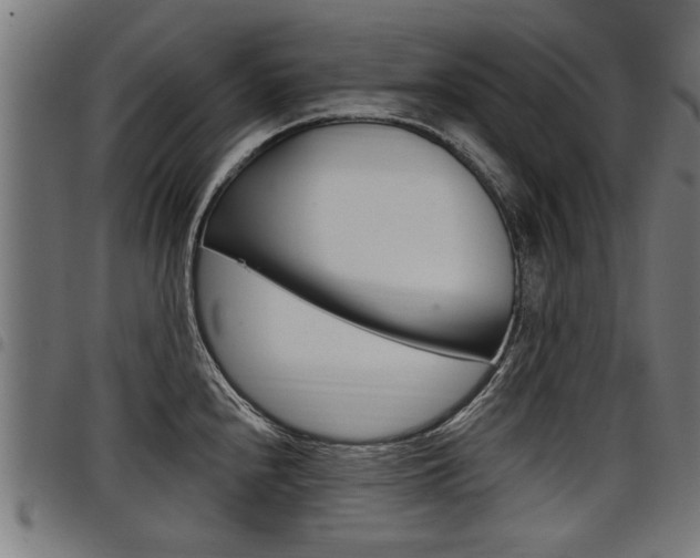 X0000098011240200803280723