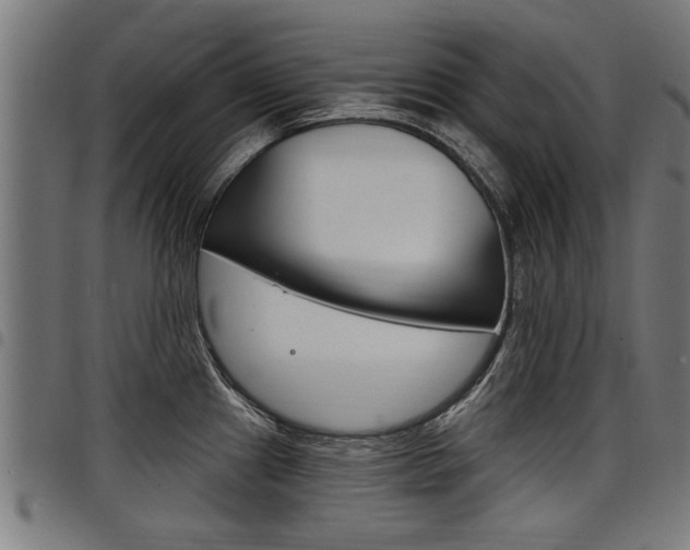 X0000098011241200803280723
