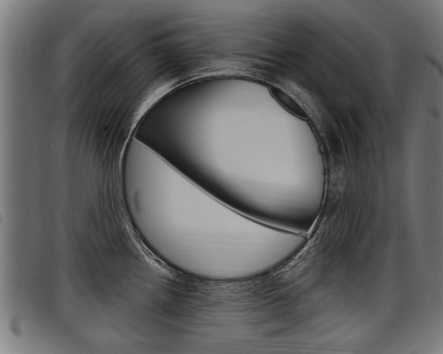 X0000098011242200803280723