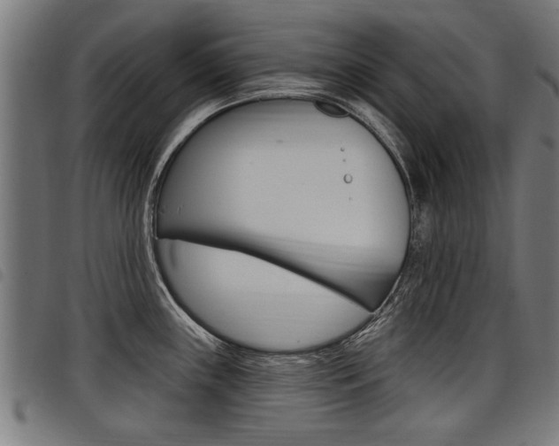 X0000098011243200803280723