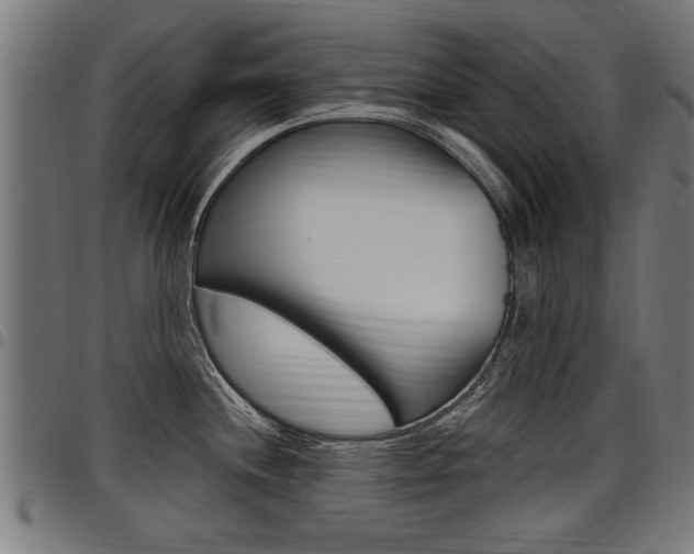 X0000098011244200803280723