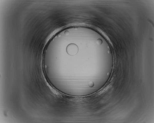 X0000098011245200803280723