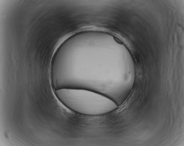 X0000098011247200803280723