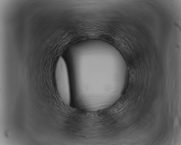 X0000098011249200803280723