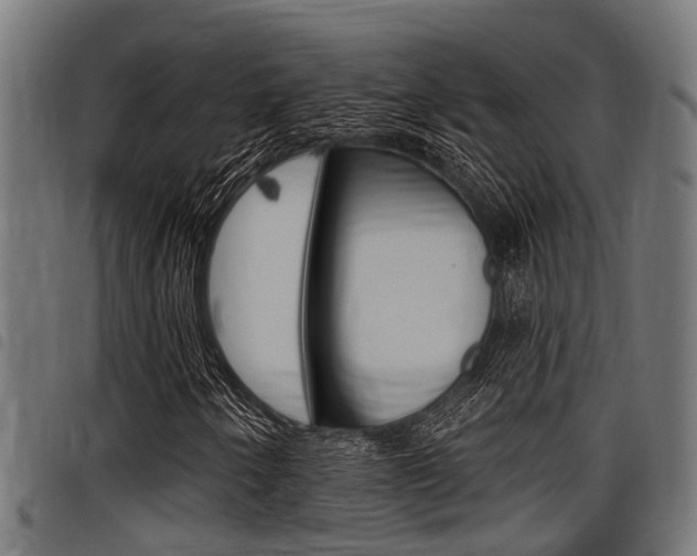 X0000098011250200803280723