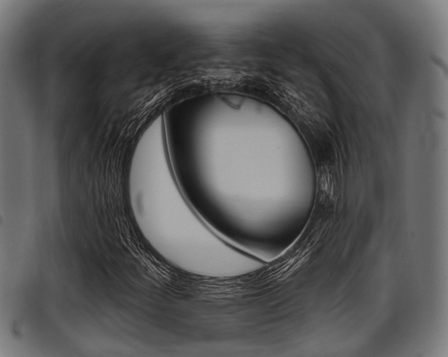 X0000098011252200803280723