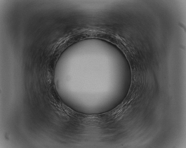 X0000098011253200803280723