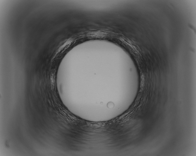 X0000098011254200803280723