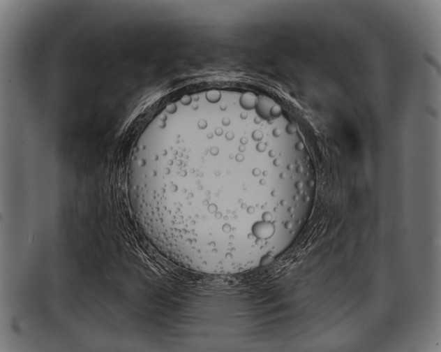X0000098011255200803280723